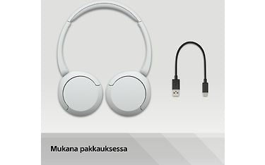 Kuva 16 / 16