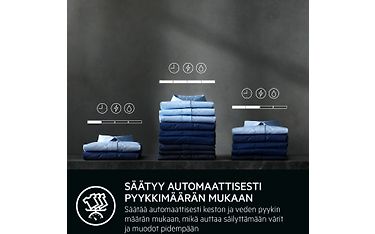 Kuva 12 / 16