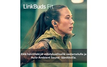 Kuva 7 / 19