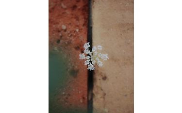 om system m.zuiko digital ed 25mm f1.8 ii objektiivin sample kuva Anna Salvador