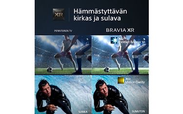 Kuva 21 / 21