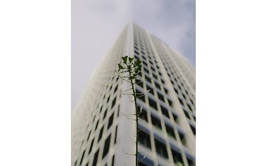 om system m.zuiko digital ed 25mm f1.8 ii objektiivin sample kuva Anna Salvador