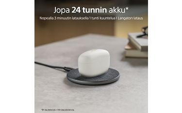 Kuva 5 / 11