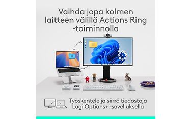 Kuva 10 / 13