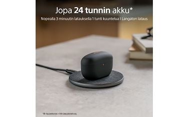 Kuva 5 / 11