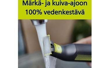 Kuva 4 / 5