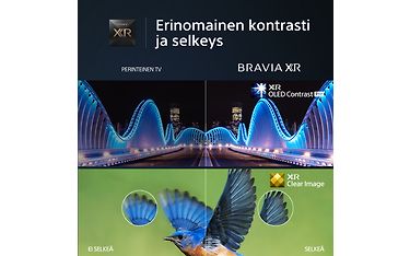 Kuva 12 / 26