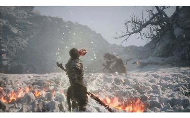 Kuva 7 / 7