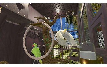 Image 4 / 6