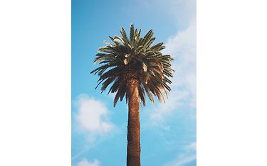 OM System 17 mm F1.8 II objektiivin sample kuva 3 Carl Johansson