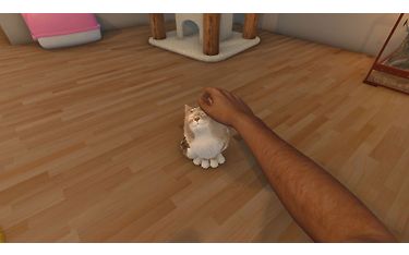 Image 5 / 6