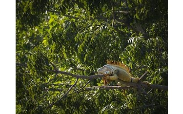 om system m.zuiko digital ed 100-400m f5.0-6.3 is ii sample kuva Lukasz Bozycki