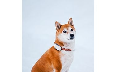 Kuva 4 / 12