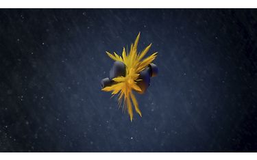 Kuva 17 / 19