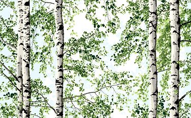 Vallila Vihtapuu -valmisverho, 140 x 250 cm, vihreä – 