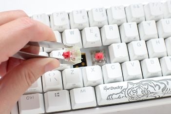 Ducky One 3 Mini 60% -mekaaninen näppäimistö Cherry MX Red -kytkimillä, valkoinen, kuva 6