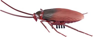 Kuva 3 / 3