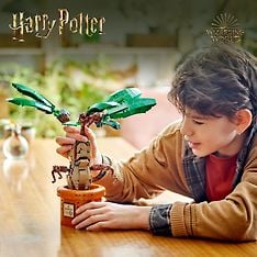 LEGO Harry Potter 76433 - Alruuna, kuva 3