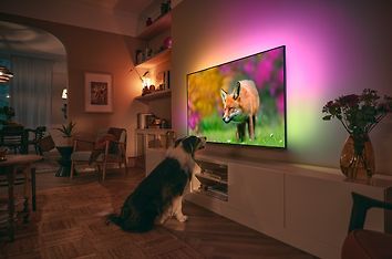 Philips The One PUS8848 43" 4K LED Ambilight Google TV, kuva 24