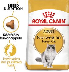 Royal Canin Norwegian Forest Cat Adult -kuivaruoka, 2 kg, 3-PACK