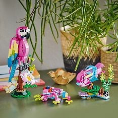 LEGO Creator 31144 - Eksoottinen pinkki papukaija, kuva 8