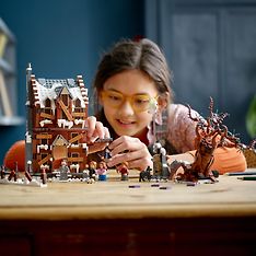 LEGO Harry Potter 76407 – Rääkyvä röttelö ja tällipaju, kuva 9