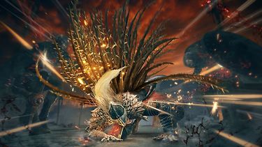 Kuva 6 / 8
