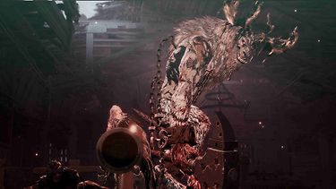 Kuva 5 / 5