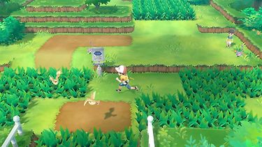 Pokémon: Let's Go, Eevee! + Poké Ball Plus -yhteispaketti, Switch, kuva 4