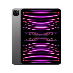 Apple iPad Pro 11" M2 256 Gt WiFi 2022, tähtiharmaa (MNXF3)