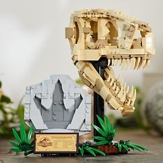 LEGO Jurassic World 76964  - Dinosaurusfossiilit: T. rexin pääkallo, kuva 8