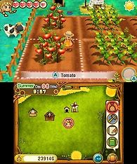 Story of Seasons - Trio of Towns -peli, 3DS, kuva 6