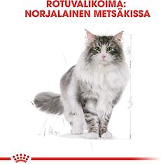 Royal Canin Norwegian Forest Cat Adult -kuivaruoka, 2 kg, 3-PACK, kuva 4