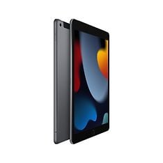 Apple iPad 64 Gt WiFi + Cellular 2021 -tabletti, tähtiharmaa (MK473), kuva 2