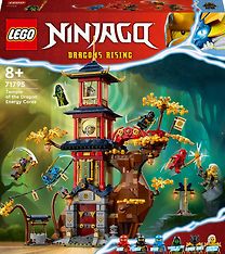 LEGO Ninjago 71795 - Lohikäärmetemppelin energiaytimet