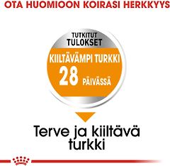 Kuva 4 / 6