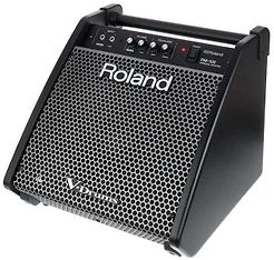 Roland PM-100 -monitori