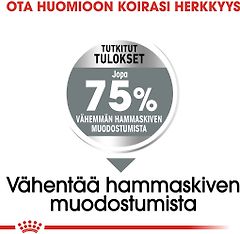 Kuva 4 / 6