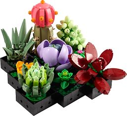 LEGO Botanical 10309 - Mehikasvit, kuva 3