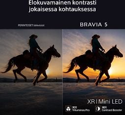 Kuva 16 / 28