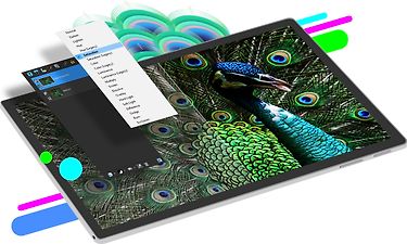 Corel PaintShop Pro 2023 Ultimate -kuvankäsittelyohjelmisto, kuva 3