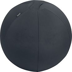 Leitz aktiivipallo tasapainottavalla lisäpainolla, 55cm, tummanharmaa