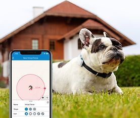 Tractive GPS Dog LTE – koiran GPS-paikannin, kuva 9