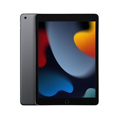 Apple iPad 256 Gt WiFi 2021 -tabletti, tähtiharmaa (MK2N3)
