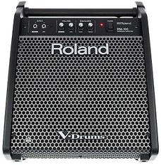 Roland PM-100 -monitori, kuva 2