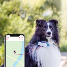 Tractive GPS Dog LTE – koiran GPS-paikannin, kuva 7
