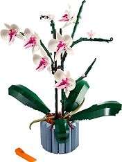 LEGO Botanical 10311 - Orkidea, kuva 2
