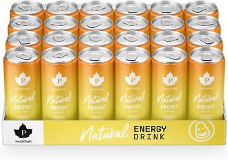 Puhdistamo Natural Energy Orange Lemonade -energiajuoma, 330 ml, 24-pack
