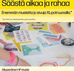 Kuva 3 / 3