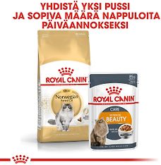 Royal Canin Norwegian Forest Cat Adult -kuivaruoka, 2 kg, 3-PACK, kuva 5
